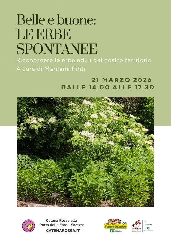corso erbe spontanee commestibili